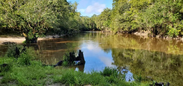 [Withlacoochee River, left and downstream, Little River on right]