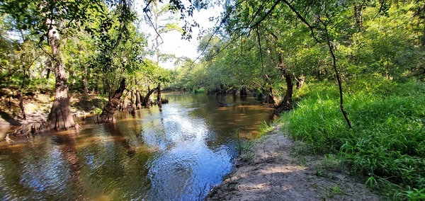 [Looking downstream at possible paddle takeout]