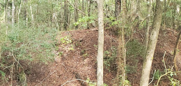 [Probably natural mound]