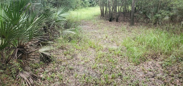 Likely road east to easement