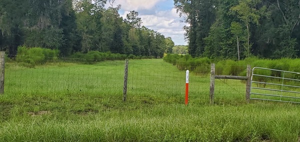 [West on Sabal Trail Pipeline, Jumping Gully Road]