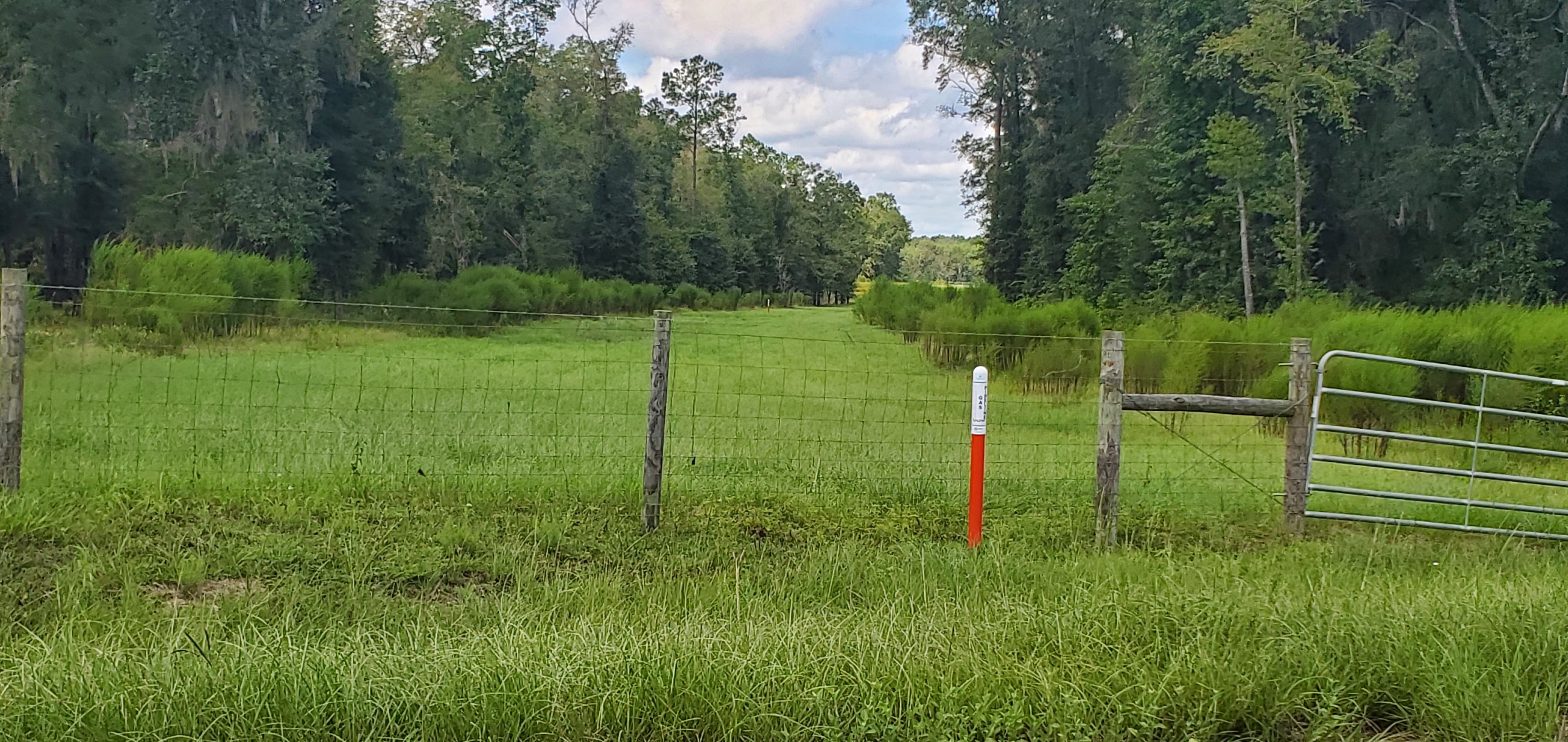 West on Sabal Trail Pipeline, Jumping Gully Road