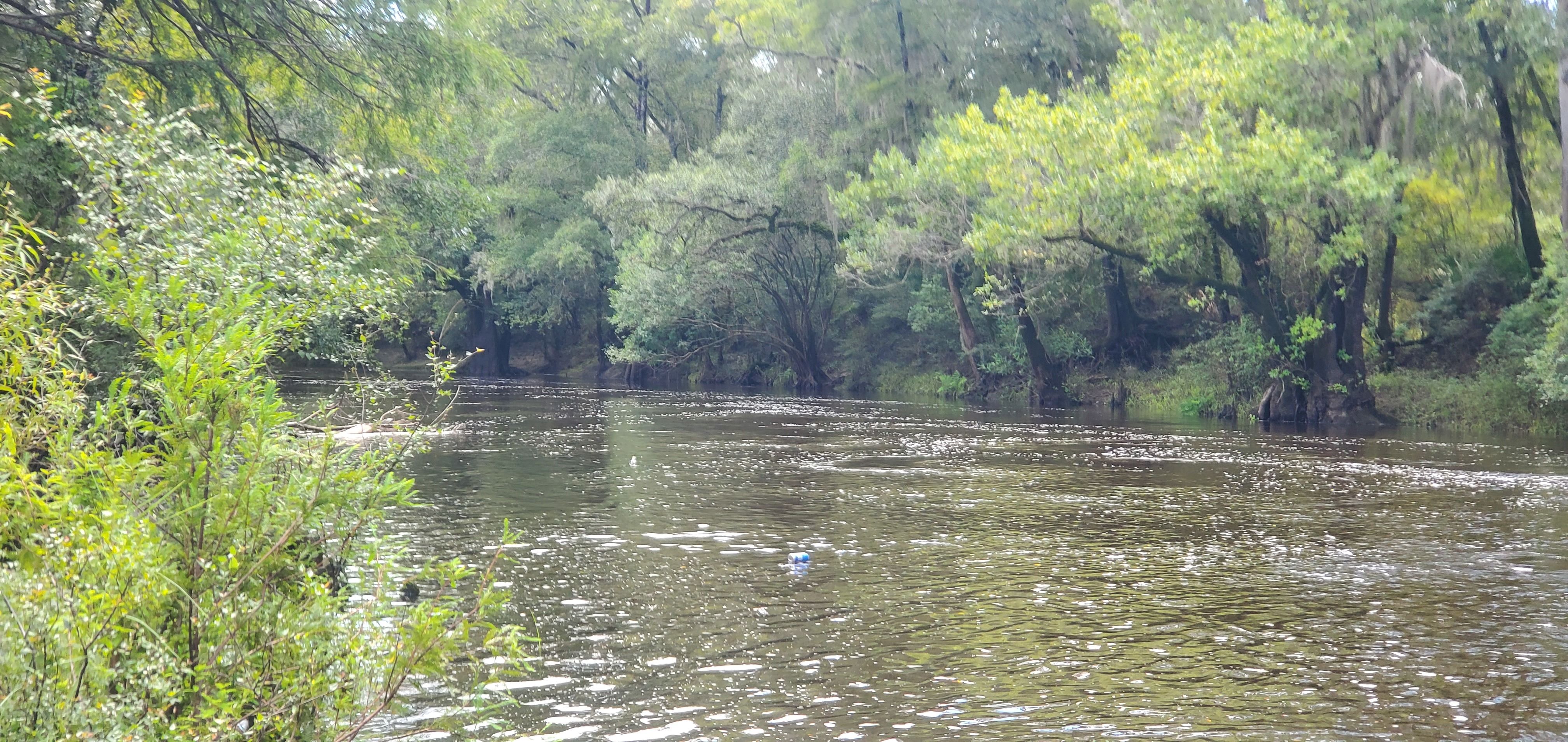 Downstream, Nankin Boat Ramp