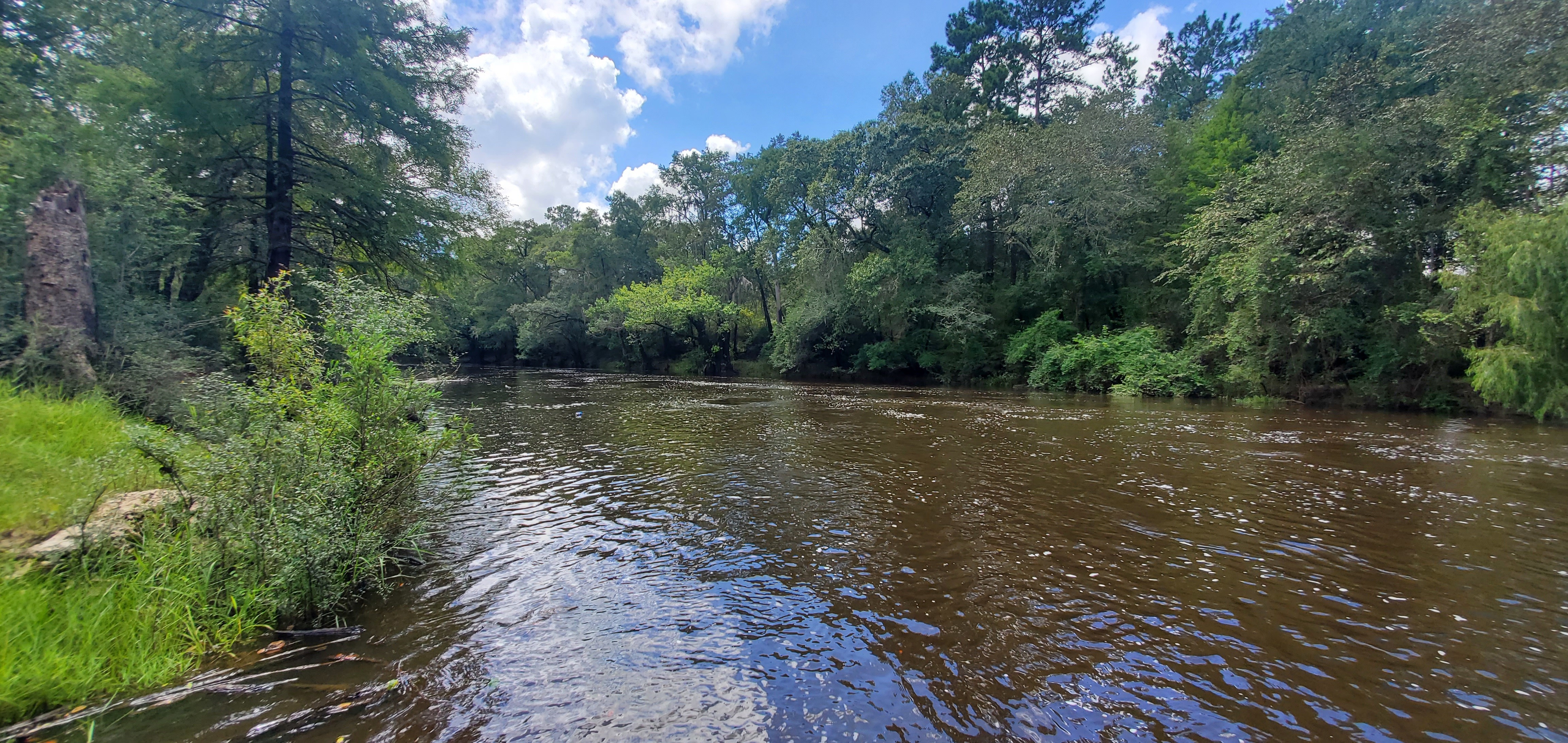 Wide downstream, Nankin Boat Ramp