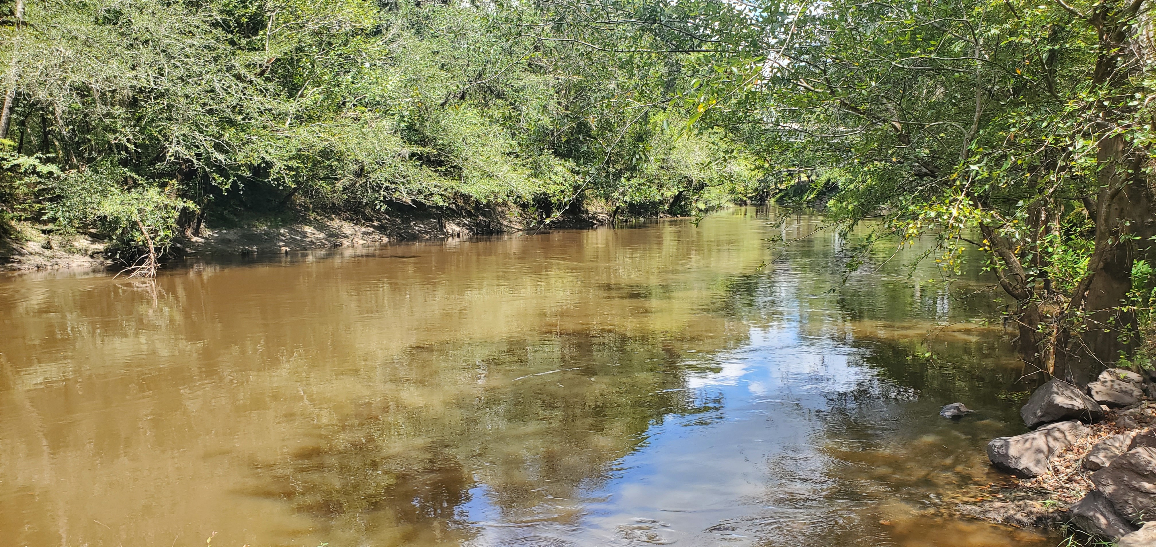 Upstream, Troupville Boat Ramp