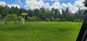 [Sabal Trail signs and so-called restoration]