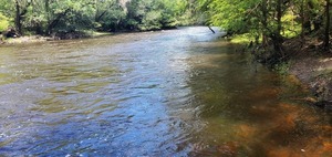 [Upstream, Nankin Boat Ramp]