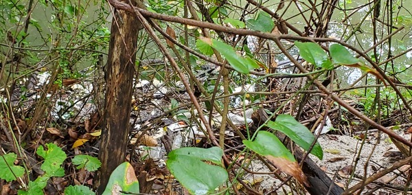 [Mound of trash in Sugar Creek]