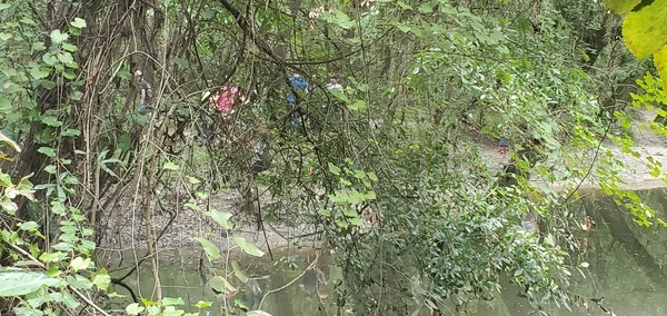 Volunteers across the creek