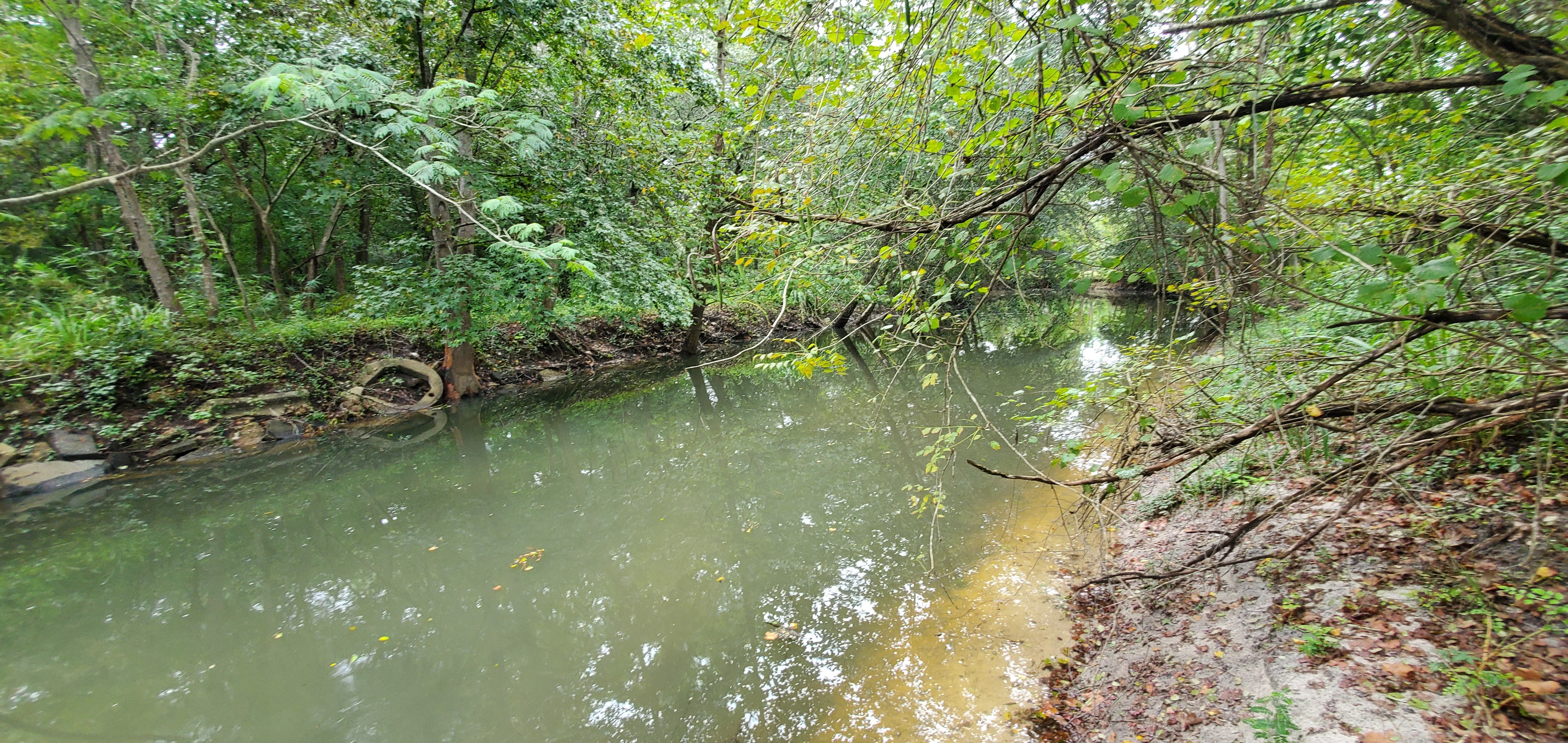 Downstream Sugar Creek