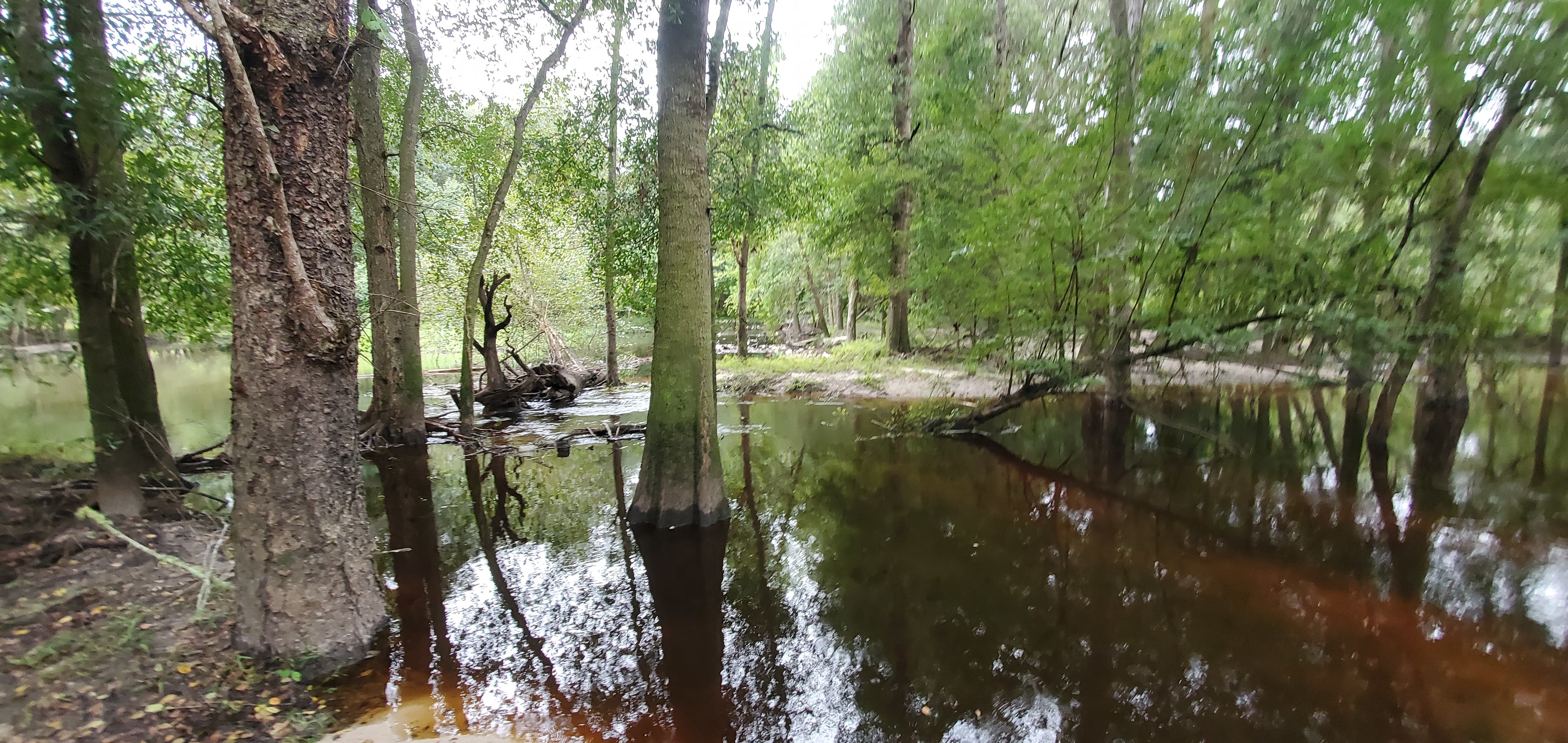 Walk across the river