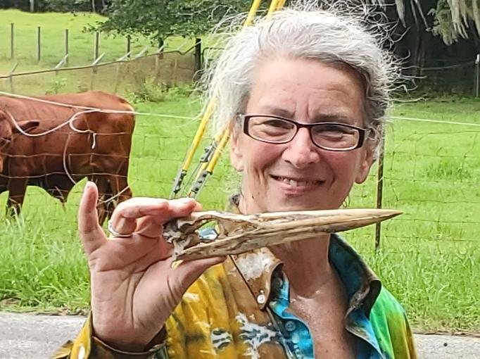 Great Blue Heron skull, Gretchen