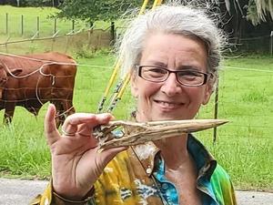 [Great Blue Heron skull, Gretchen]