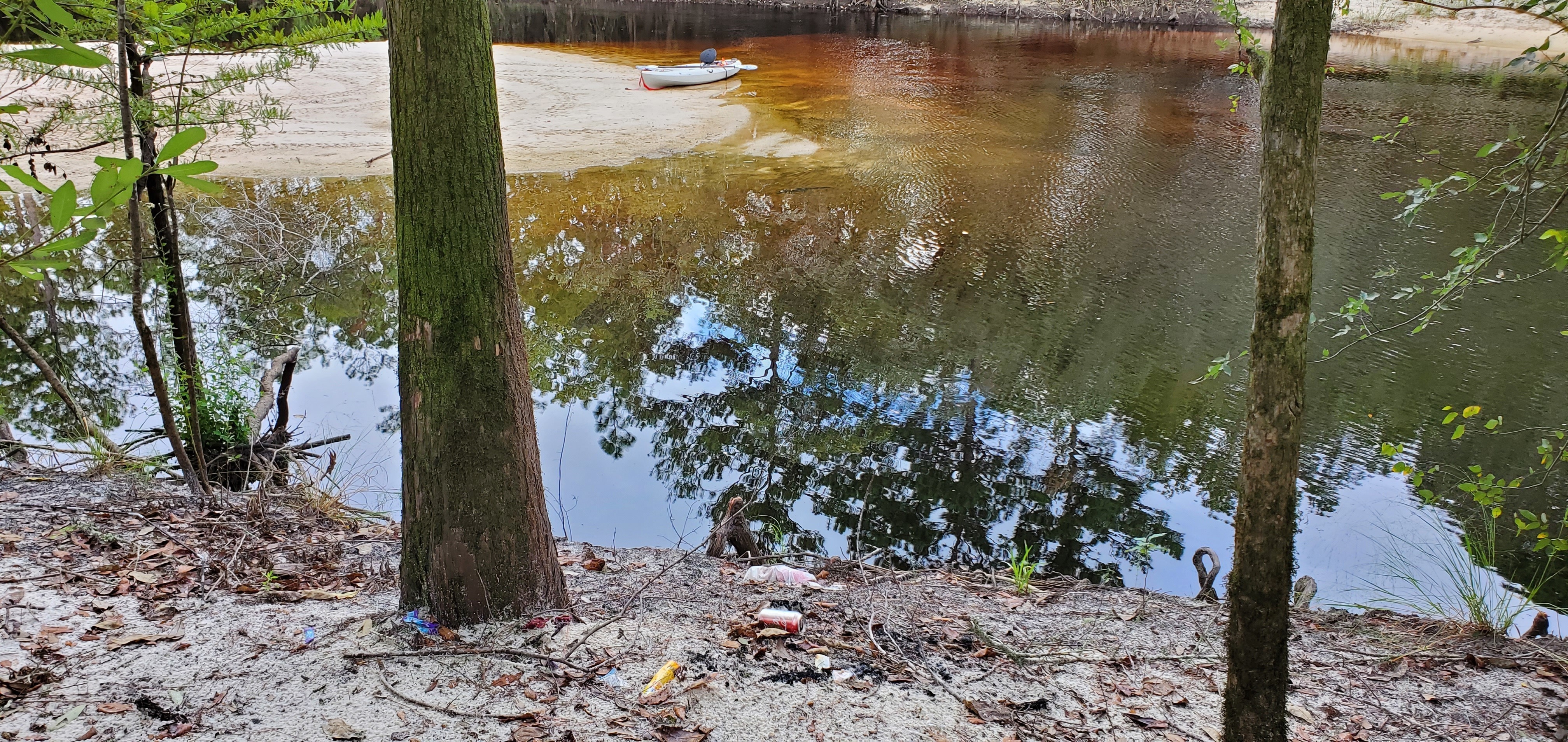 Trash at Berrien Beach