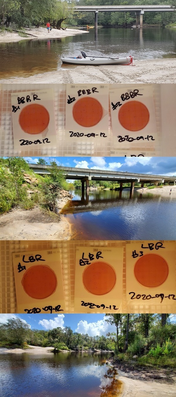 Alapaha River: Berrien Beach and Lakeland Boat Ramp 2020-09-12