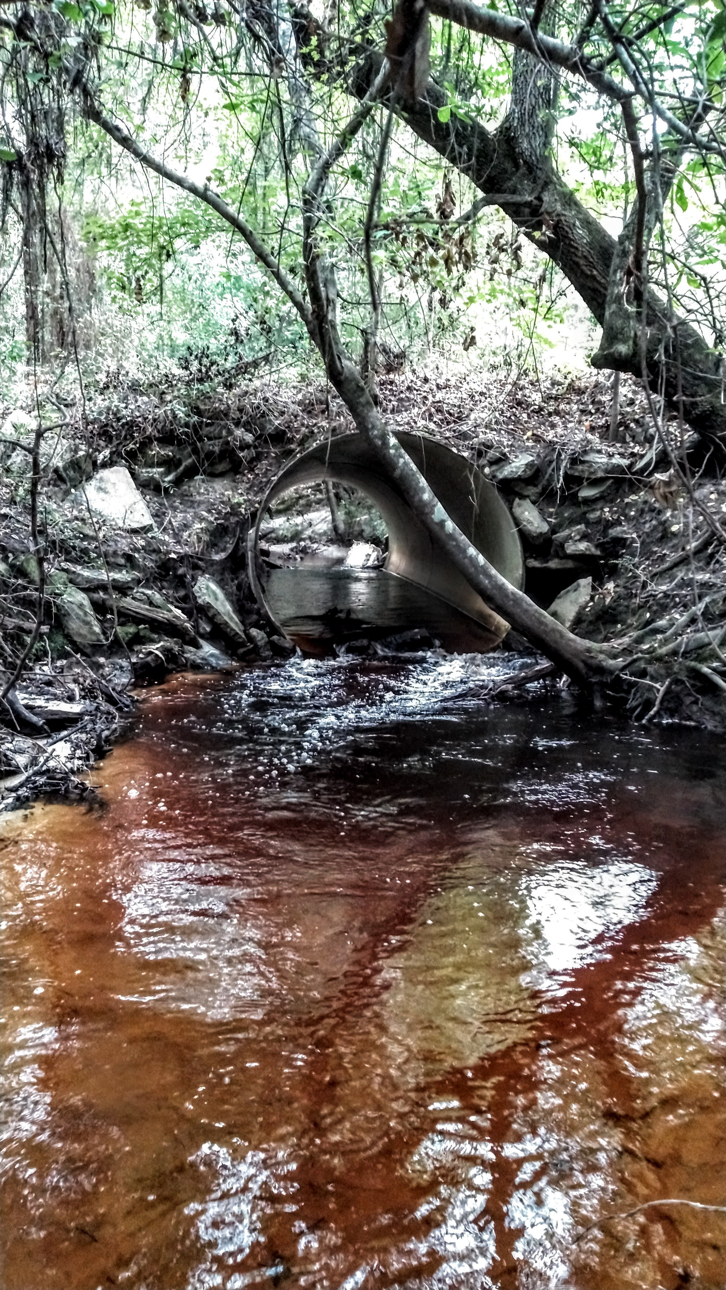 Culvert, Clyatt Mill Creek RR