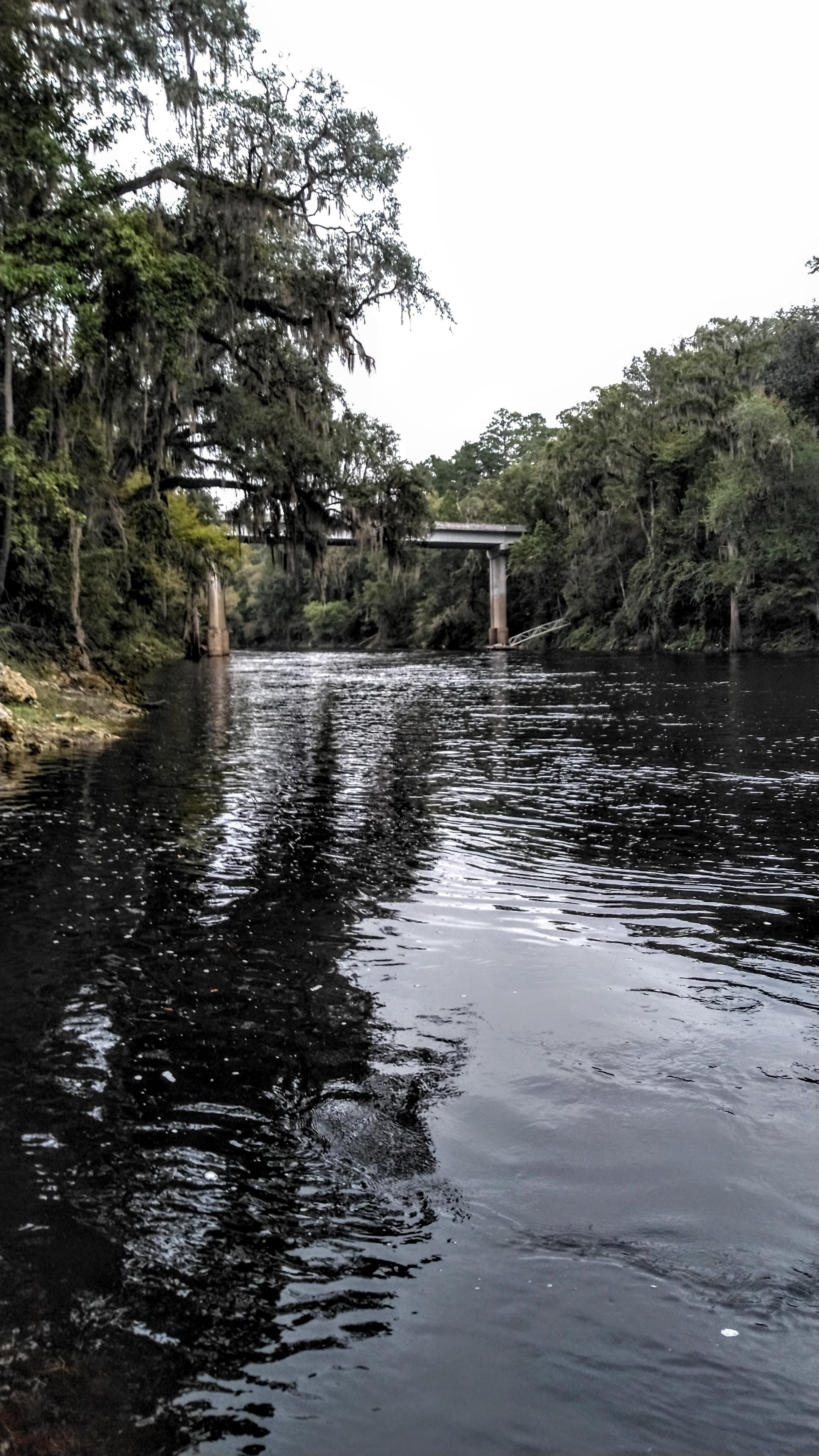 Upstream, Gibson Park, Suwannee River