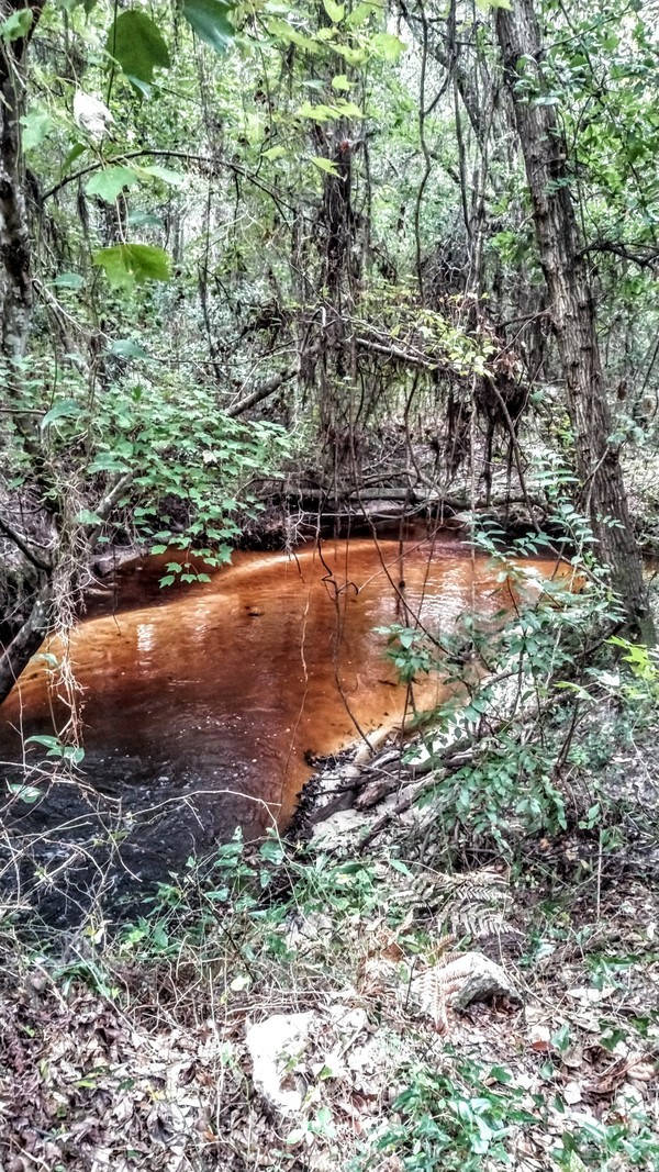 Downstream, Clyatt Mill Creek RR