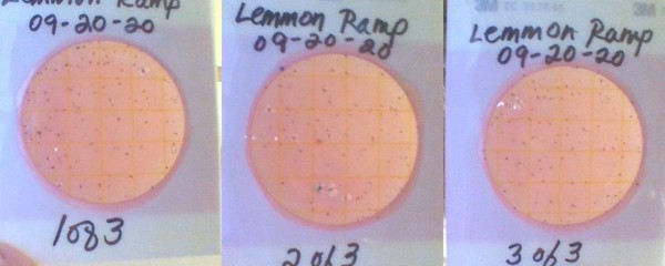 [Lemmon Ramp Plates, Santa Fe River]