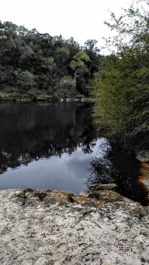 [Upstream, Anderson Spring, Suwannee River]