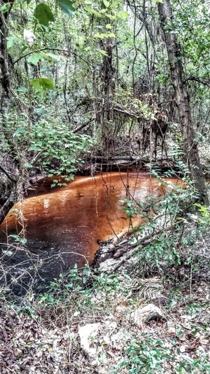 [Downstream, Clyatt Mill Creek RR]