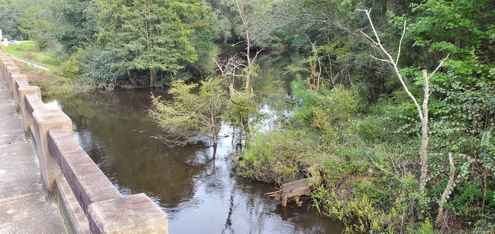 More downstream looking east