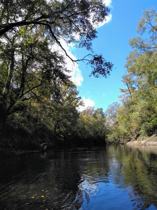 [2020-10-11 Statenville Boat Ramp]