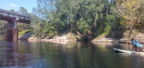 [Dog spots creek before US 129 bridge]