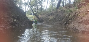 [Gretchen and Brett paddling up the creek]