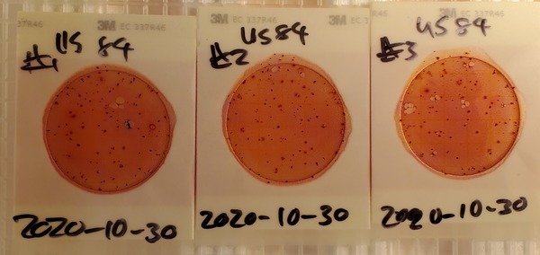 33 cfu/100 mL, US 84 (below Little River)