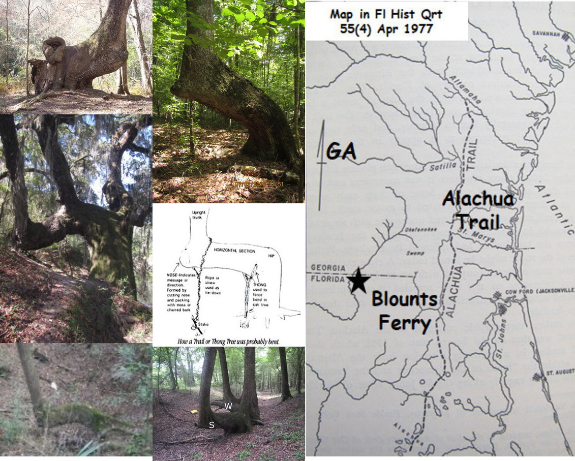 Trailmarker Trees, How To, and old map