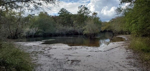 Suwannee River, Griffis Fish Camp, 2020:11:06 15:19:24