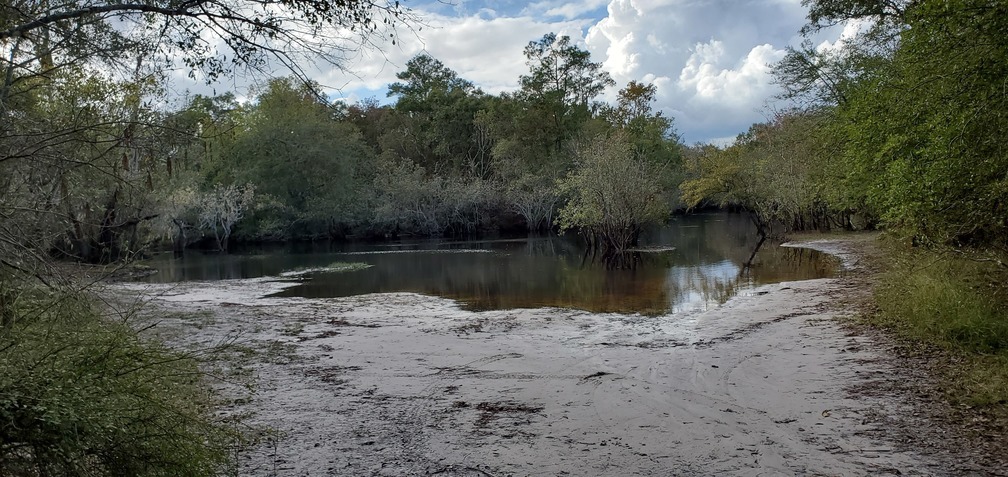 Suwannee River, Griffis Fish Camp, 2020:11:06 15:19:24