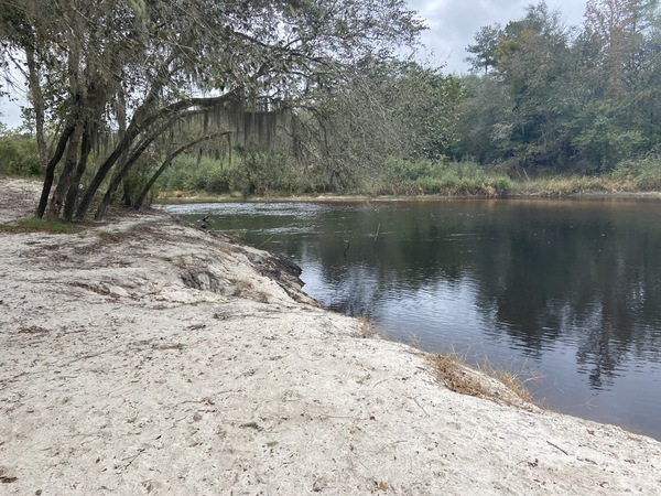 [Upstream, Naylor Beach, Alapaha River]