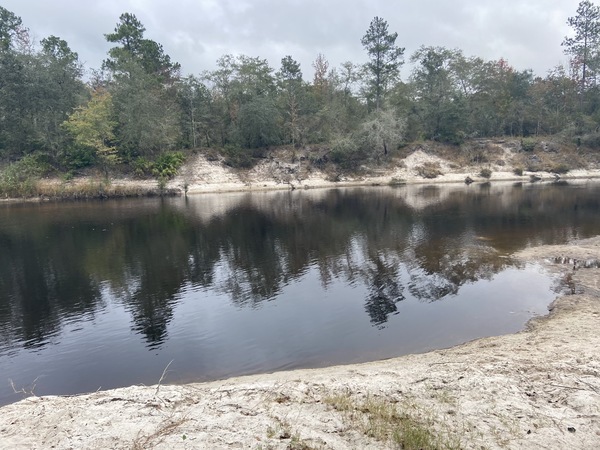 Downstream, Naylor Beach, Alapaha River