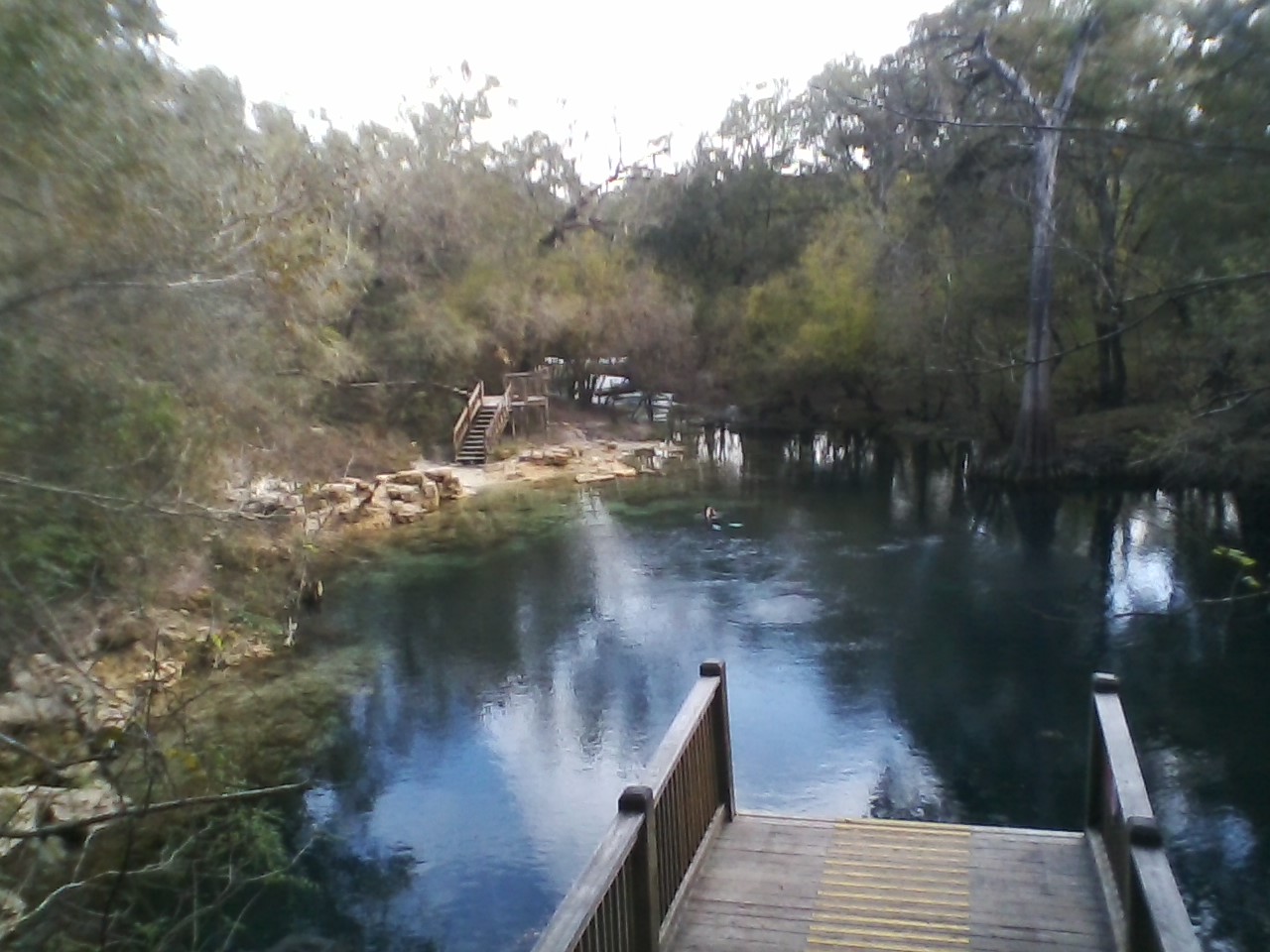 Royal Spring, Suwannee River