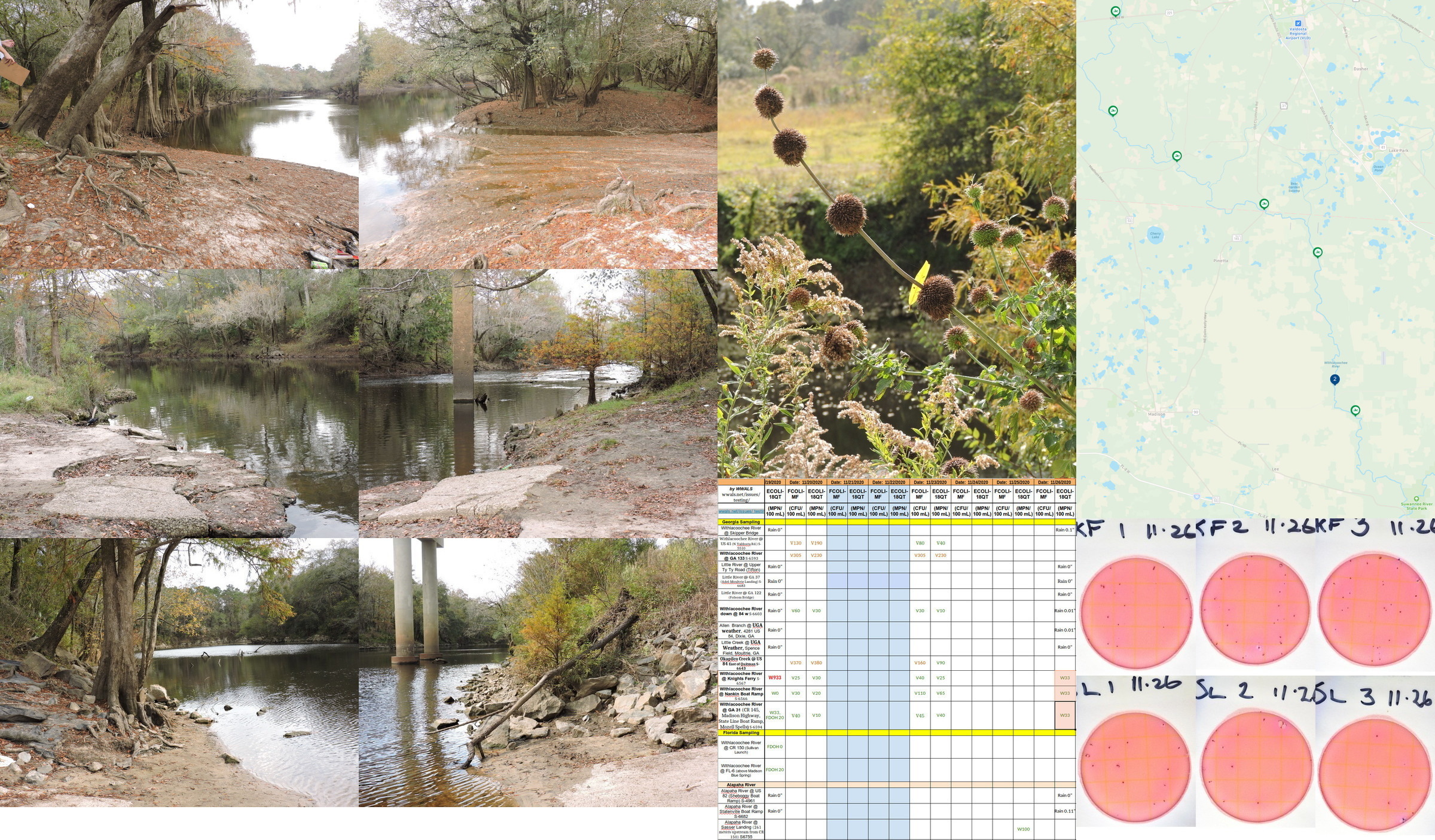 Pictures, Results, Map, Plates