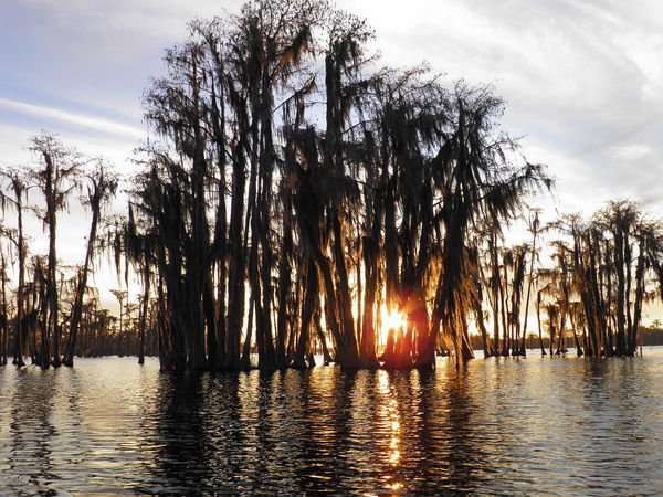 Sunset Banks Lake