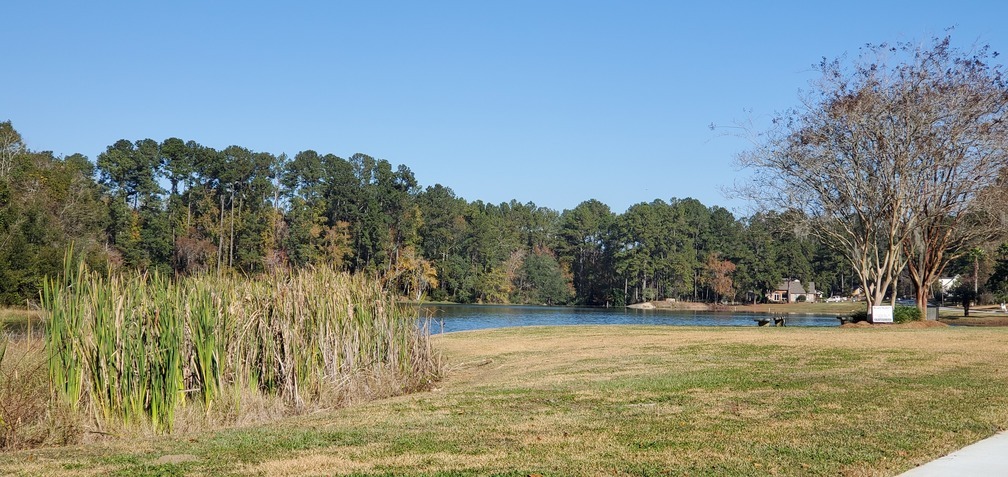 North Lake Sheri, From Buena Vista Circle, 10:24:55, 30.8488410, -83.3291950