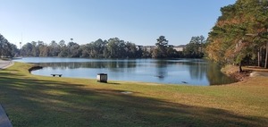 [Lake Sheri with The Grove Apartments in background, 10:23:06, 30.8522440, -83.3289130]