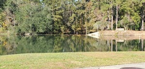 [Spillway, Lake Sheri, 10:25:37, 30.8503340, -83.3288480]