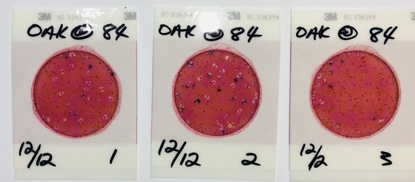 866 cfu/100 mL, Okapilco Creek @ US 84