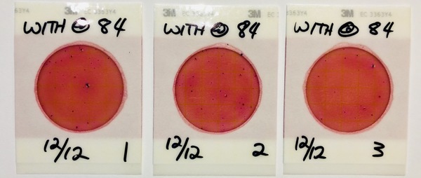 66 cfu/100 mL, Withlacoochee River @ US 84