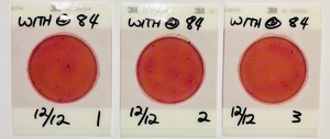 [66 cfu/100 mL, Withlacoochee River @ US 84]