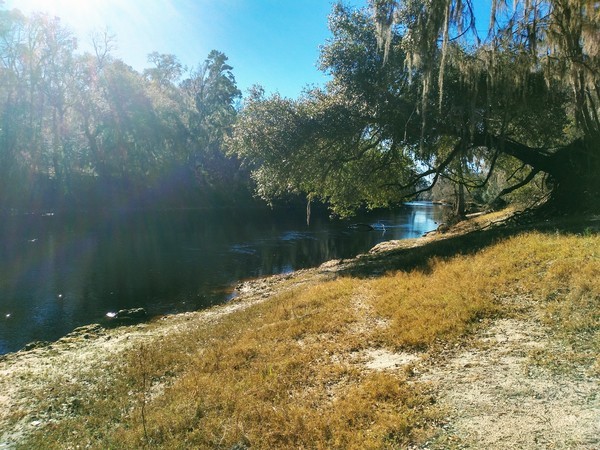 Downstream, Gibson Park