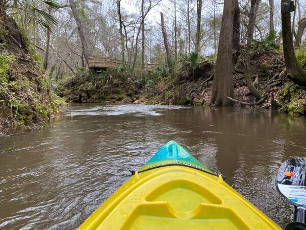 [Creek with platform --Helen Crowley, 2021-01-01]