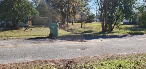 Potholes and drainage ditch