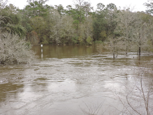 [Nankin Boat Ramp from the Bridge Xing River]