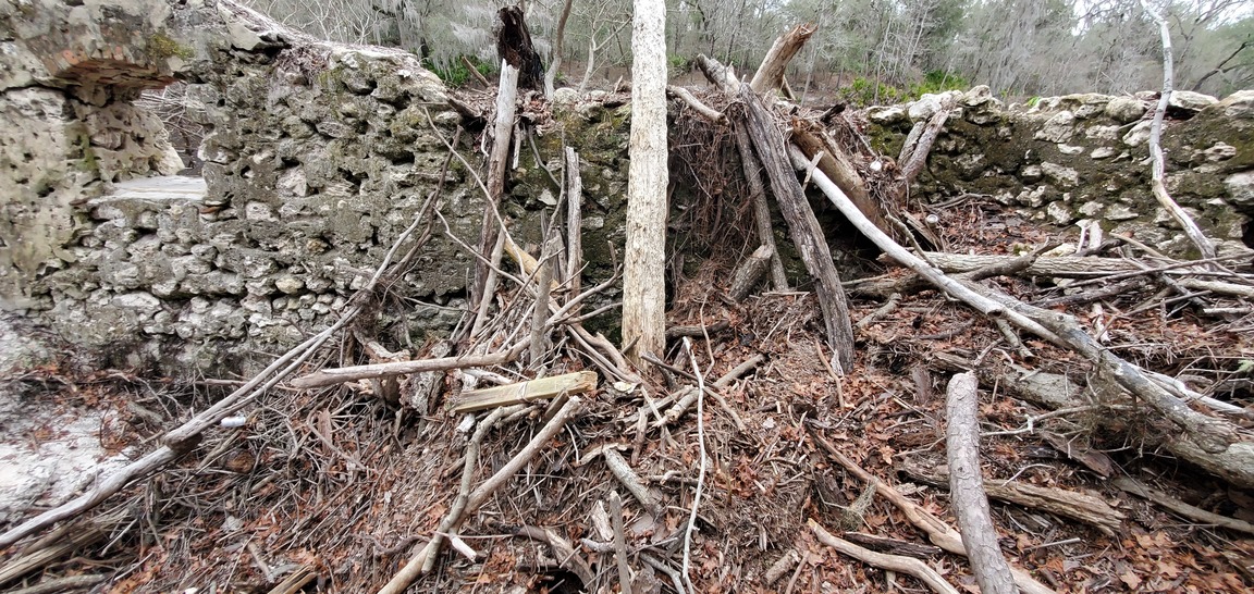 Wedged driftwood