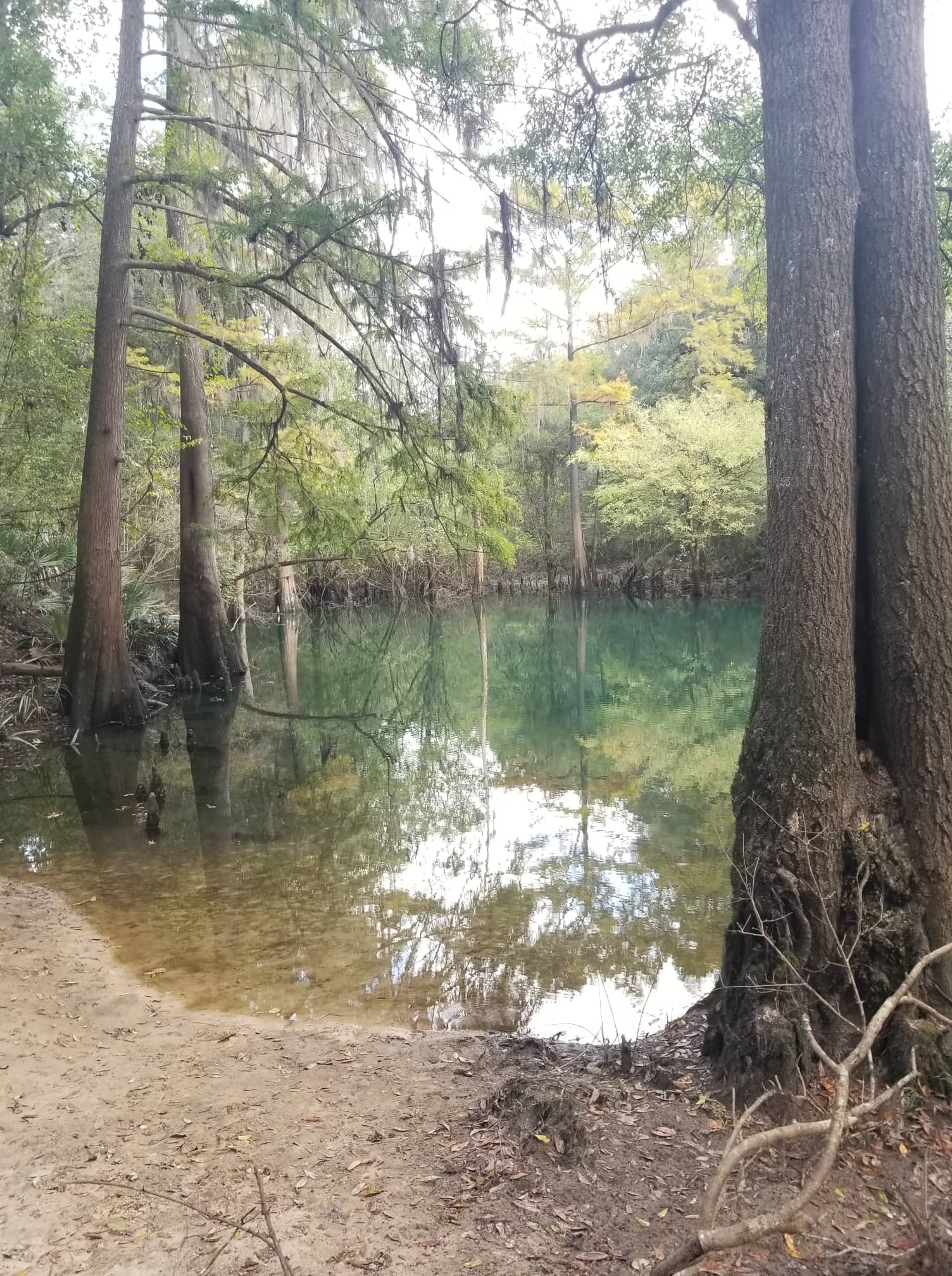 Blue Sink